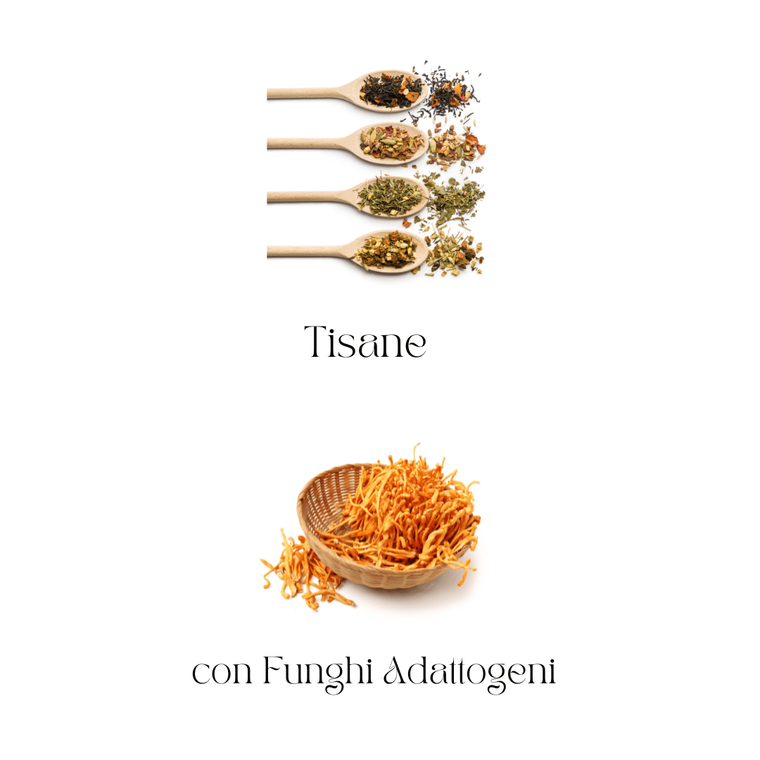 Tisane ai funghi - Halvey