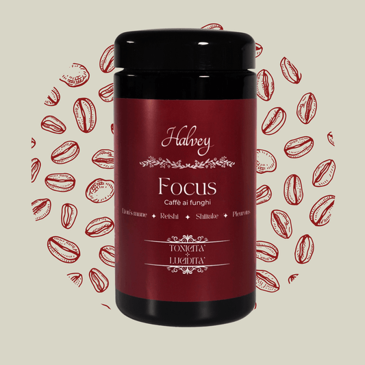 FOCUS - Caffè ai Funghi